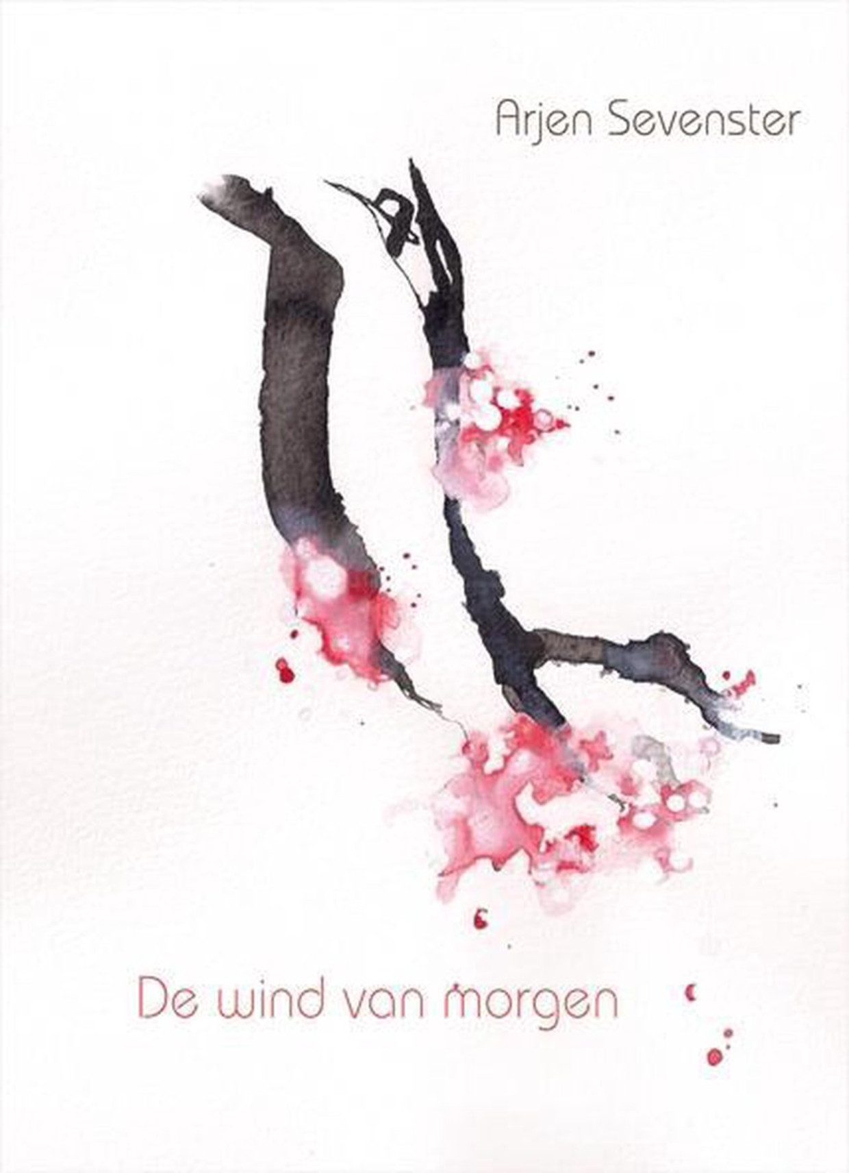 null Beeld In de Knipscheer