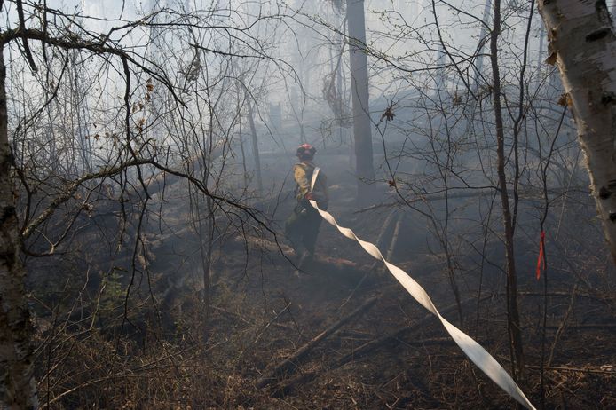 Een brandweerman probeert een bosbrand in Alberta, Canada te blussen in 2016.