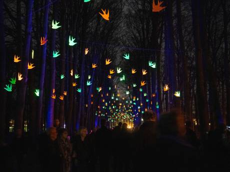 Apeldoorn krijgt tweede editie Royal Light Festival, gemeente stelt tonnen beschikbaar