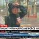 Tv-verslaggevers te midden van orkaan Irma: is dat wel zo verstandig?