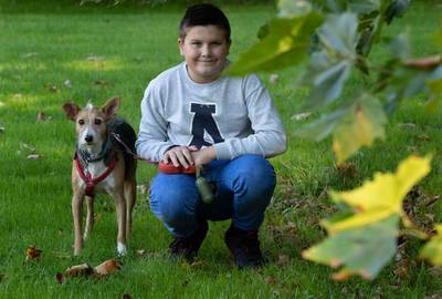 ‘Bekuifde hond’ Raissa uit Tolkamer grijpt naast titel Huisdier van het Jaar: ‘Maar voor ons altijd 