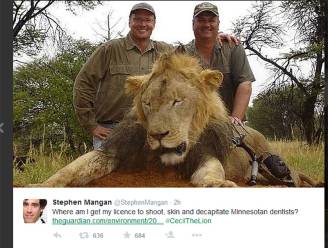 Tandarts: "Wist niet dat leeuw Cecil zo populair was"