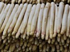 Het witte goud: op deze plekken in of bij Eindhoven scoor je asperges