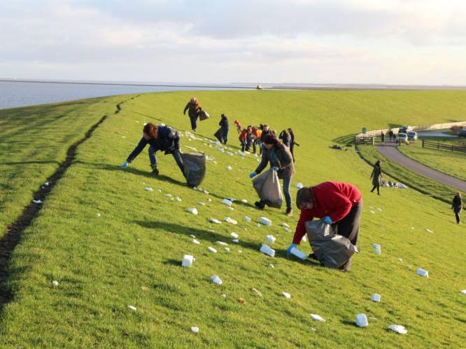 Nederlands leger en honderden vrijwilligers opgetrommeld voor schoonmaakacties van Waddenzee: “De nasleep zal enorm zijn”