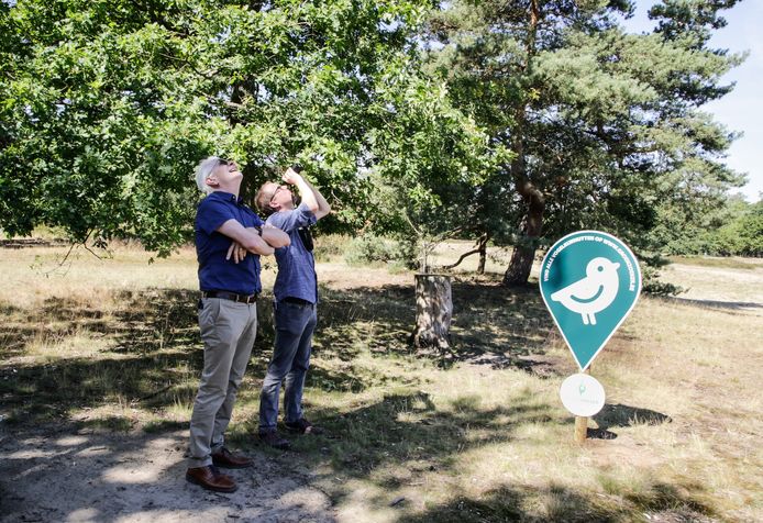 Gedeputeerden Jan De Haes en Rembrandt De Koninck lanceren de pins uit de GroenZoeker op de Kesselse Heide.