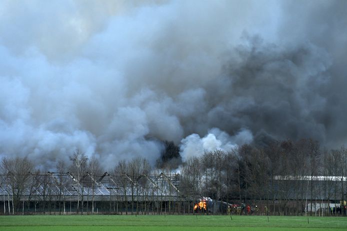 De grote rookwolken.