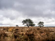 Dit populaire natuurgebied bij Arnhem is in beeld als oefenterrein voor zware explosieven: ‘Onbegrijpelijk’