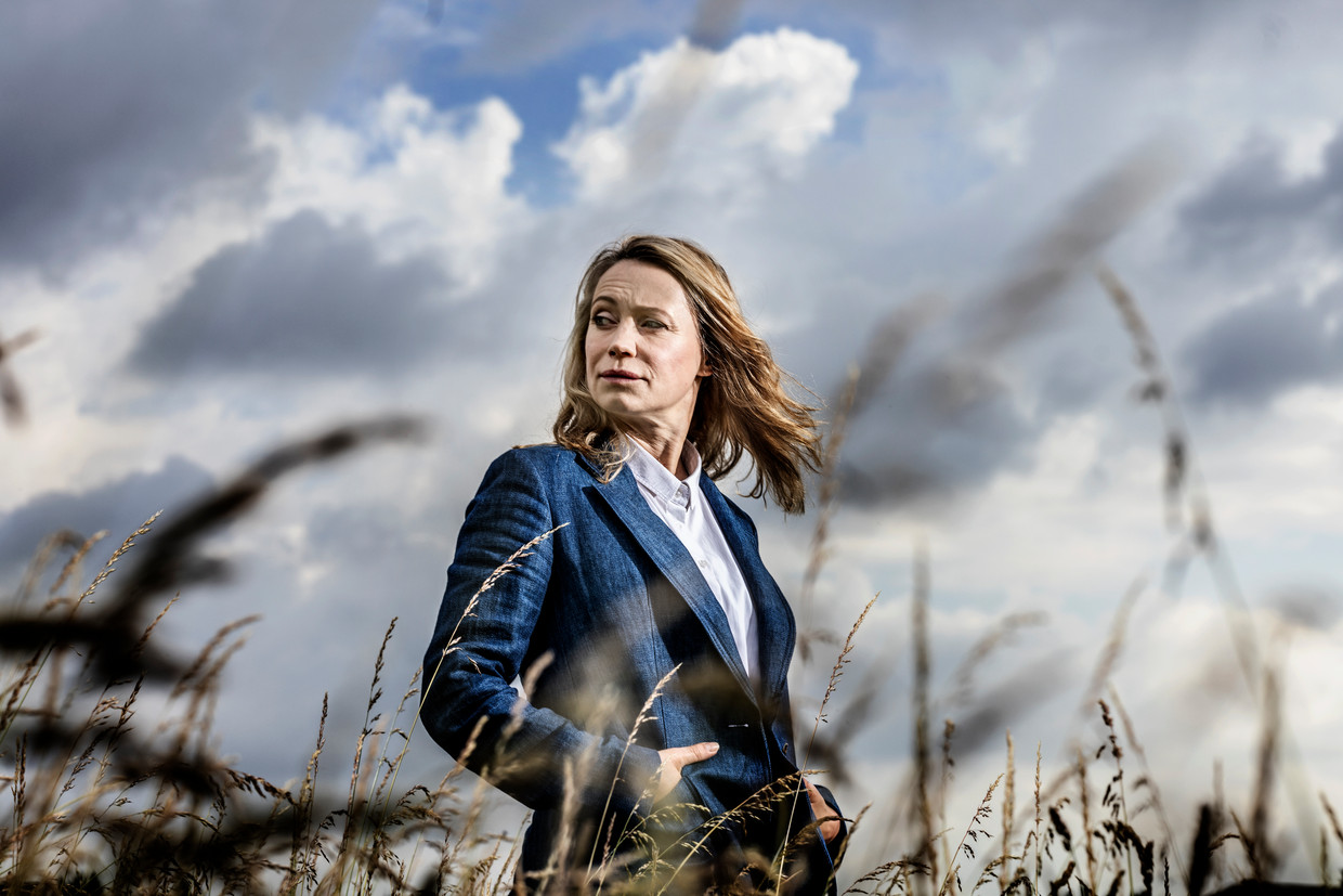 null Beeld aar i