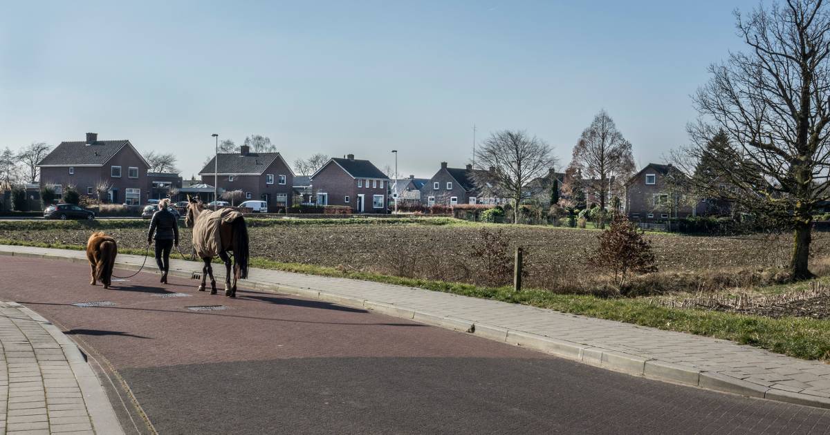 Opmerkelijk verzet tegen nieuwe huizen in Ven-Zelderheide: ‘Moet je niet willen’