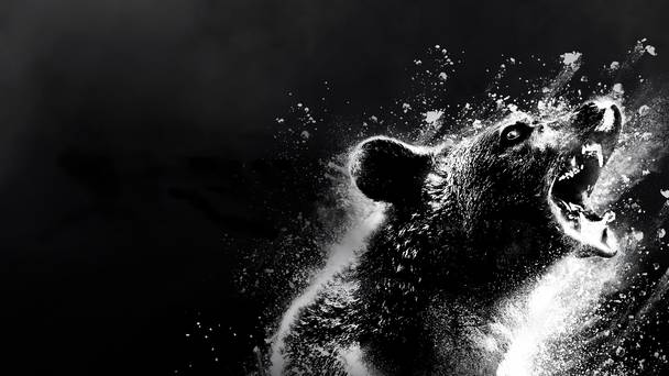 Cocaine Bear
