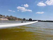 Attentie waterratten: de eerste Bergse watersportdag komt eraan