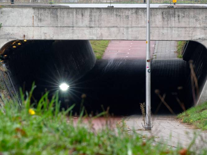 Automobilist (36) probeert politie via fietstunnel te slim af te zijn: vluchtpoging komt hem duur te staan