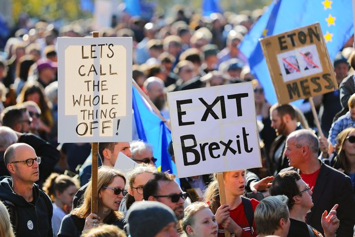 Betogers toonden pamfletten met teksten als 'Exit Brexit', 'Let's call the whole thing Off!' en ‘Bollocks to Brexit’.
