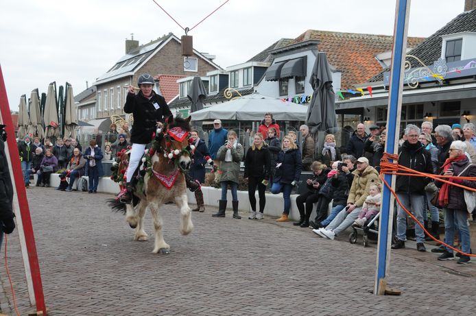 Renesse Ringsteken, Rilana heeft het super naar haar zin.