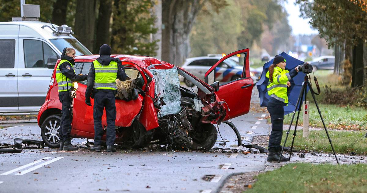 Man (26) uit Steenwijk overleden door botsing tegen boom bij Marknesse