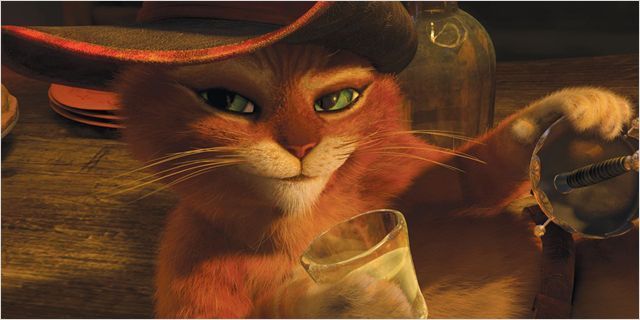 Comment Ne Pas Craquer Pour Le Chat Potte Cinema 7sur7 Be