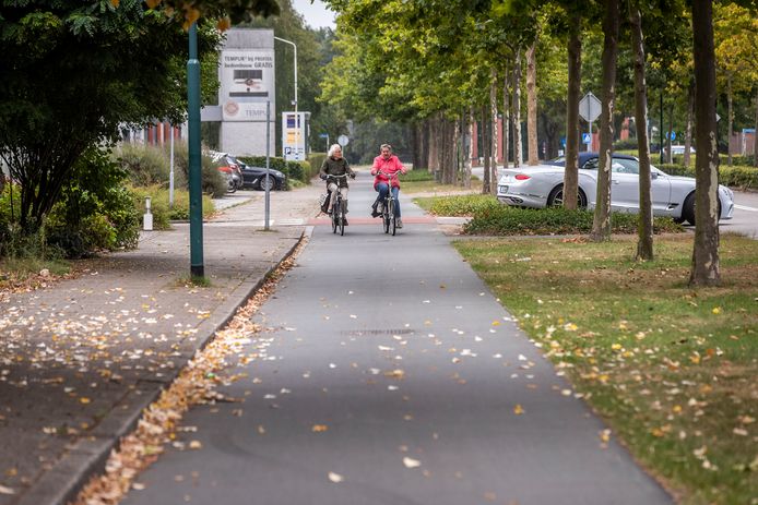 Het fietspad aan de Burgemeester Mollaan in Waalre.