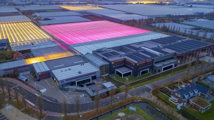 Koppert Cress in Monster vanuit de lucht. Het bedrijf gebruikt veel lampen en dus ook veel energie. De klimaatneutrale kas komt daarom als geroepen.