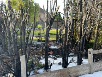 Haag in brand tijdens verdelgingswerken in tuin achter woning: brandweer kan tuinhuis vrijwaren