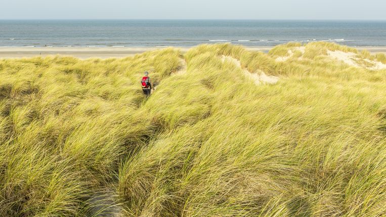 Een vrouw wandelt door de duinen van Vlieland. De homo amans stopt geen geld in self care, maar neemt er tijd voor. Beeld ANP / Bert Spiertz