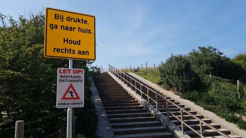 Jeukende rupsen bij strandopgangen Ter Heijde, Hoogheemraadschap waarschuwt | Foto | AD.nl