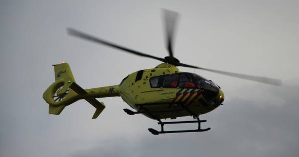 15-jarige werknemer overleden in bedrijfshal Dodewaard - De Gelderlander