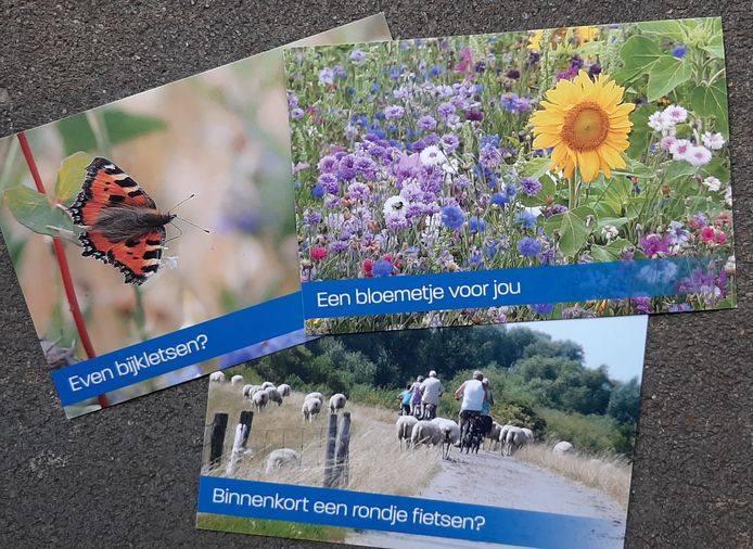 Ansichtkaarten met geluksmomentjes van gemeente Drimmelen