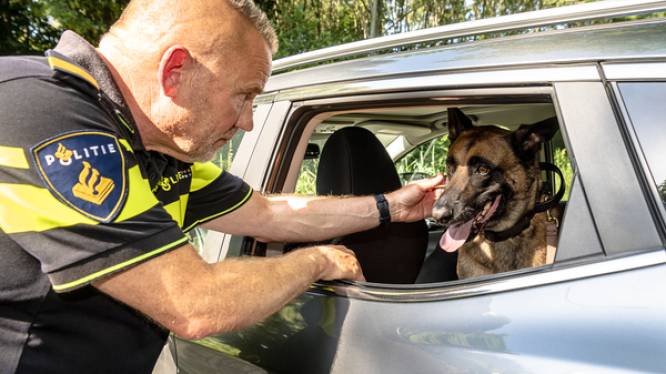 Politie extra alert op puffende honden in snikhete auto's: ‘We accepteren geen excuses’