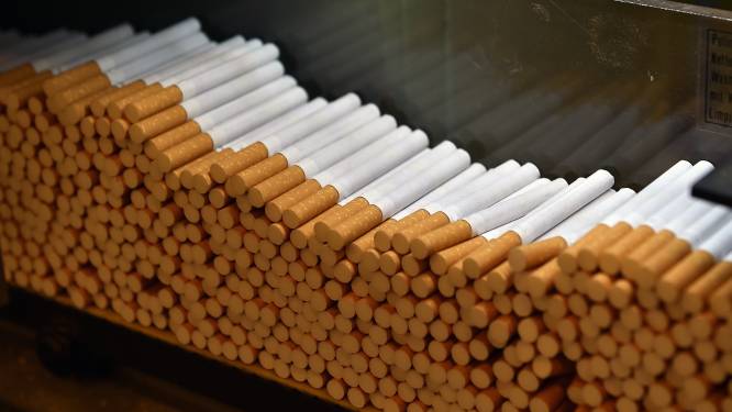 Douane onderschept bijna 10 miljoen illegale sigaretten op A58 