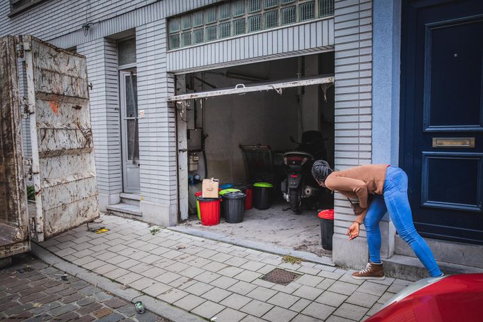 Buren komen even piepen bij de opruiming van de garage.