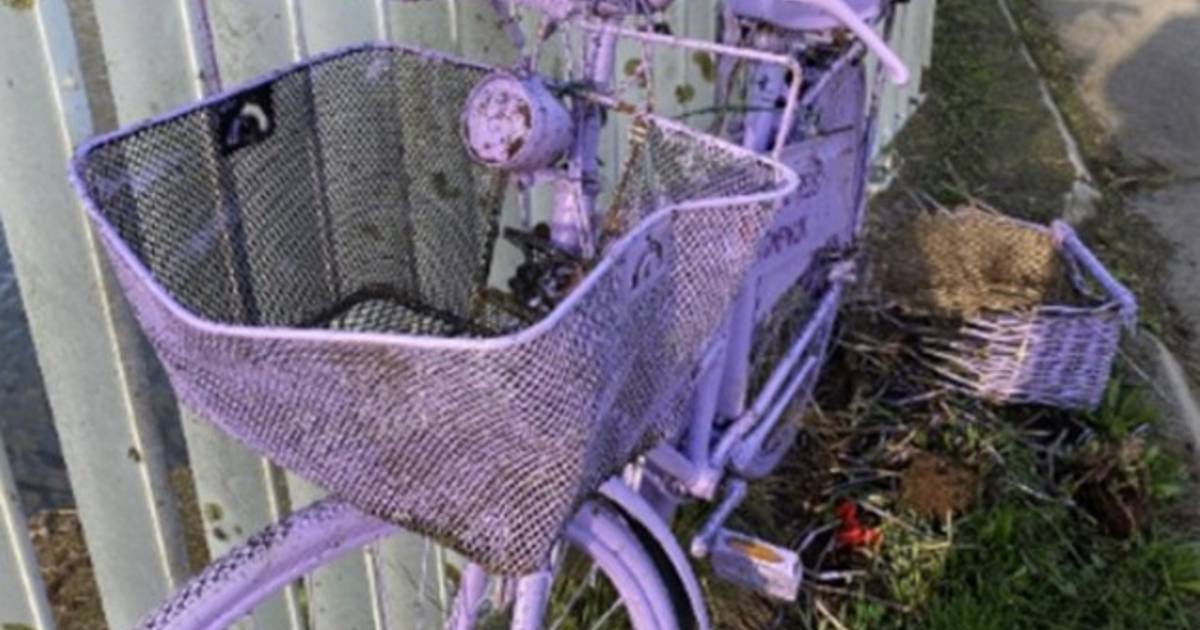 Gekleurde fiets met plantjes uit voorzorg weggehaald in Stompwijk na vandalisme | Leidschendam-Voorb