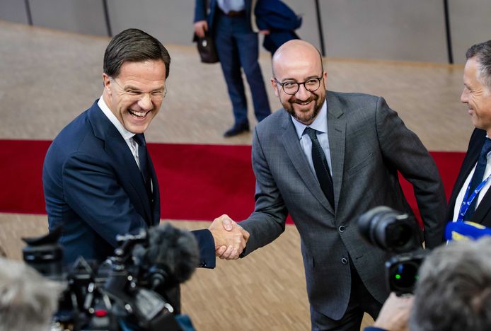 Michel en zijn Nederlandse collega Mark Rutte zullen vrijdag onderhandelen namens de liberalen.