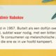 Humo's zomerleesvoer (1): 'Pnin', Nabokovs hapklare meesterwerk