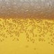 Proef 500 Belgische bieren op het Zythos Bierfestival