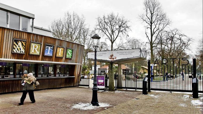 dreamnight in artis voor gehandicapte kinderen amsterdam ad nl