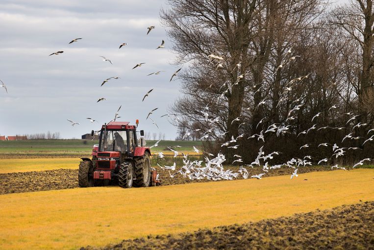 Farmers hardly get rid of their land on their own