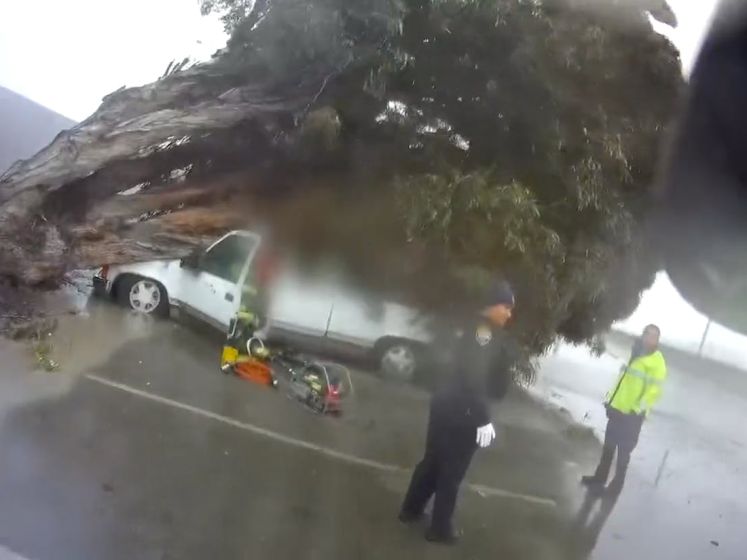 Boom valt precies op auto met inzitten­den, brandweer schiet te hulp