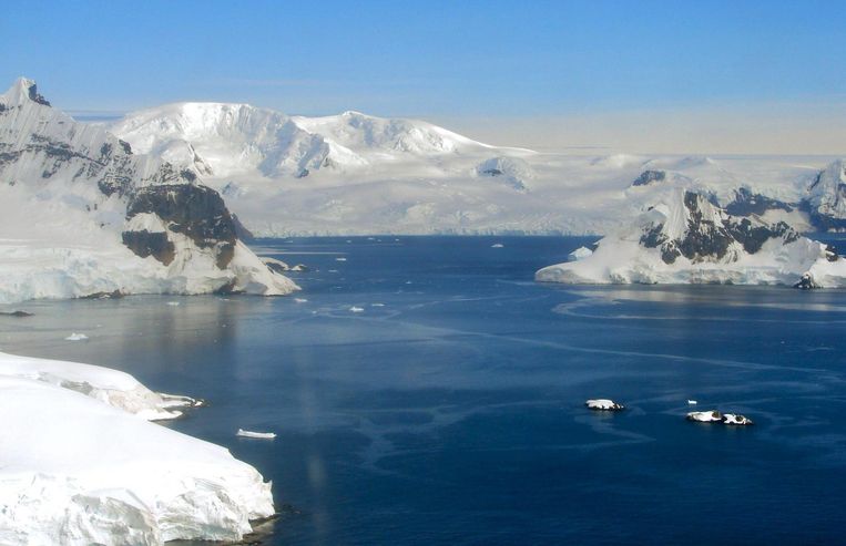 'Velen realiseren zich niet dat Antarctica tientallen miljoenen jaren geleden geen ijs had, maar dat het bedekt was met bos. Beeld epa