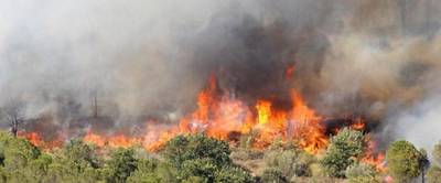 Duizenden vakantiegangers geëvacueerd van campings Zuid-Frankrijk vanwege brand