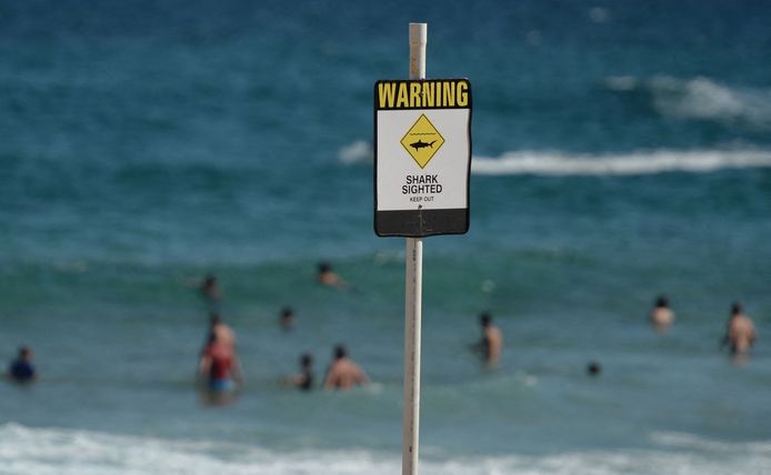 Archieffoto uit 2015: zwemmers in het Australische Newcastle trekken zich weinig aan van een waarschuwingsbord voor haaien.