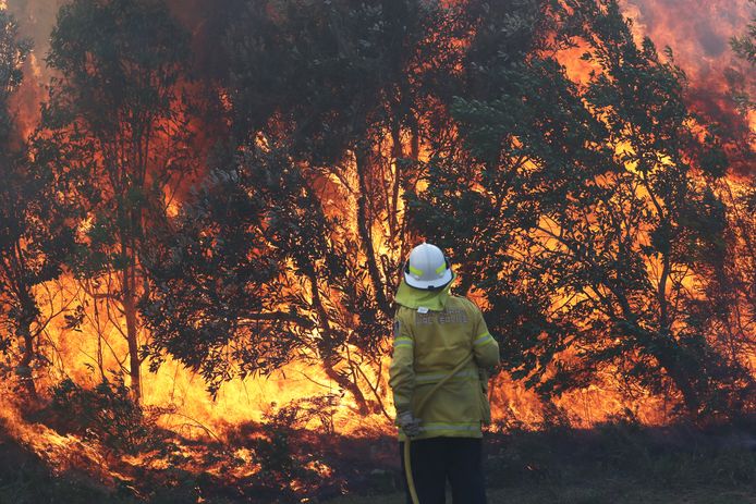 Een brandweerman aan het werk in New South Wales.