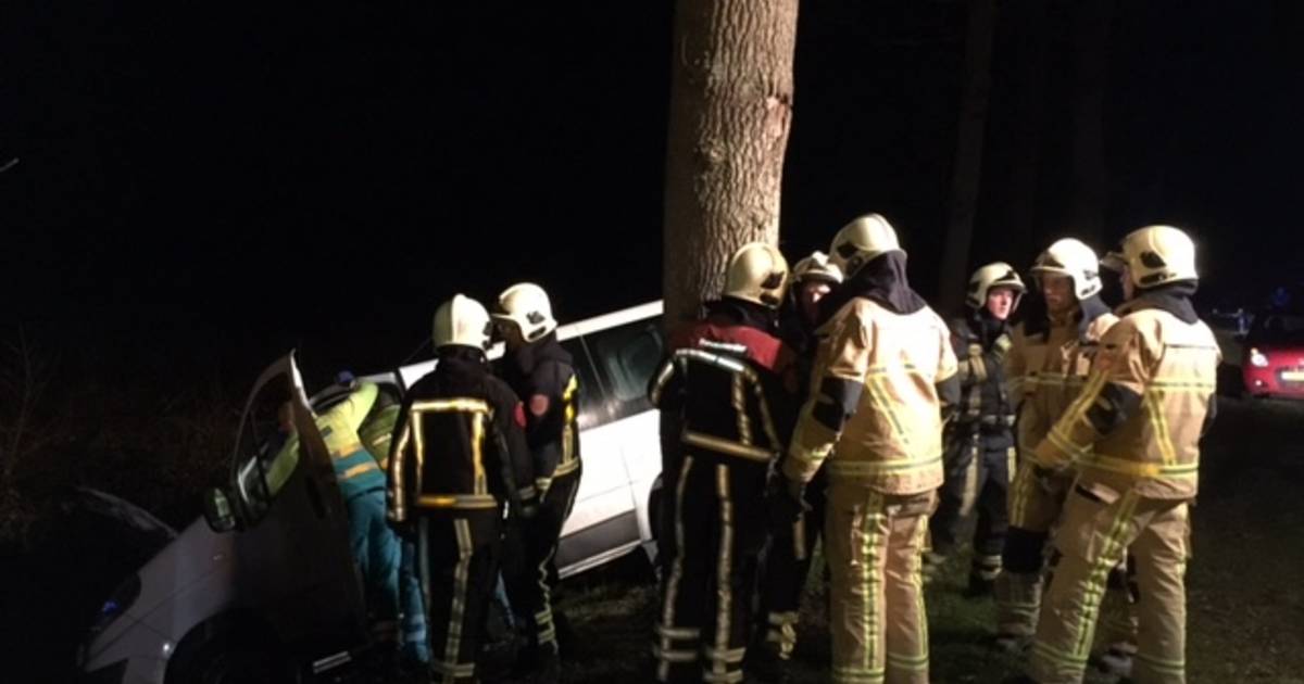 Automobilist wijkt uit voor ree en belandt in sloot bij Tilligte - Tubantia