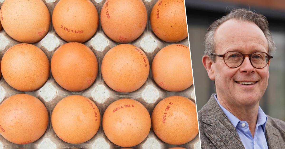 Comment reconnaître un mauvais œuf et combien pouvez-vous en manger par jour ?  9 faits et mythes sur les œufs |  Manger