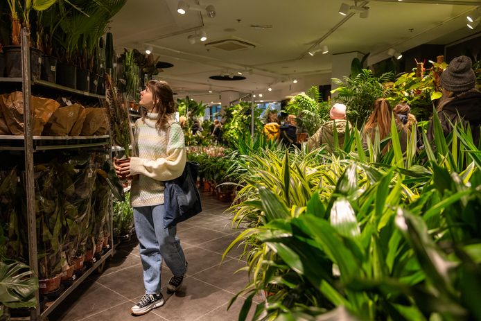 Een vorige editie van de pop-up van My Greens.