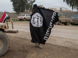Pentagon stelt "heropleving" van IS in Syrië vast