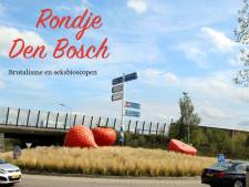 Ook rondje Den Bosch staat in de treurige reisgids: ‘Dat zal niet iedereen even logisch in de oren klinken’