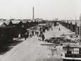 Westerbork: een hel, vermomd als dorp