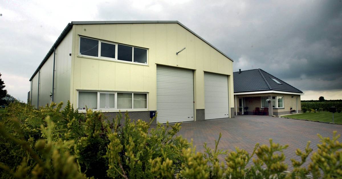 ‘Baas’ pornoloods Kraggenburg kan terug naar thuisland België