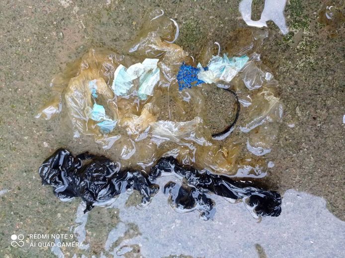 Plastica che è uscita dall'intestino dell'animale.