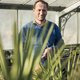 Deze eetbare tuin in Schoten gaat nog verder dan bio: "De natuur blijft me verbazen"